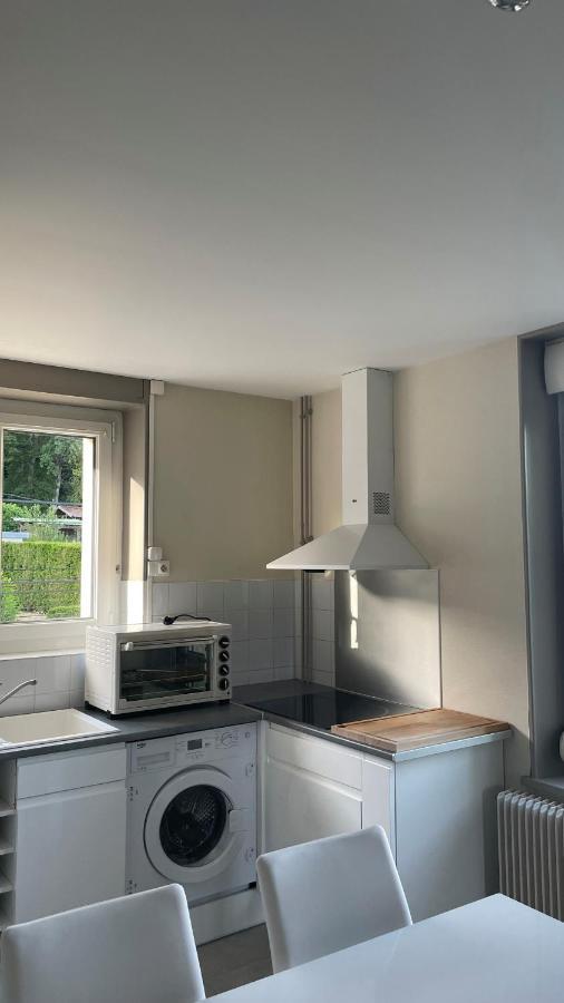 Appartement La Fourmi Verte Bruyeres Esterno foto